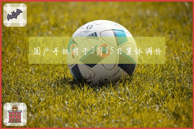 国产手机将于3月15日集体调价