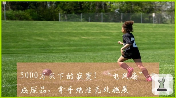 5000万买下的寂寞！“电风扇”变成废品，拿手绝活无处施展