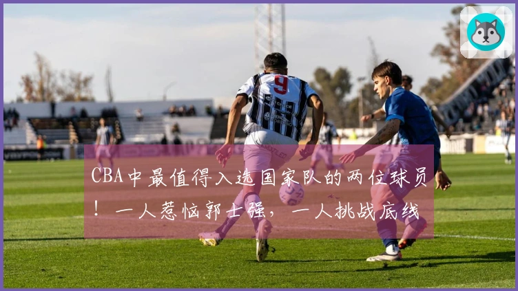 CBA中最值得入选国家队的两位球员!一人惹恼郭士强,一人挑战底线