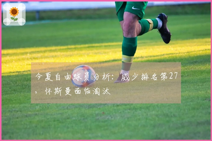 今夏自由球员分析：威少排名第27，怀斯曼面临淘汰